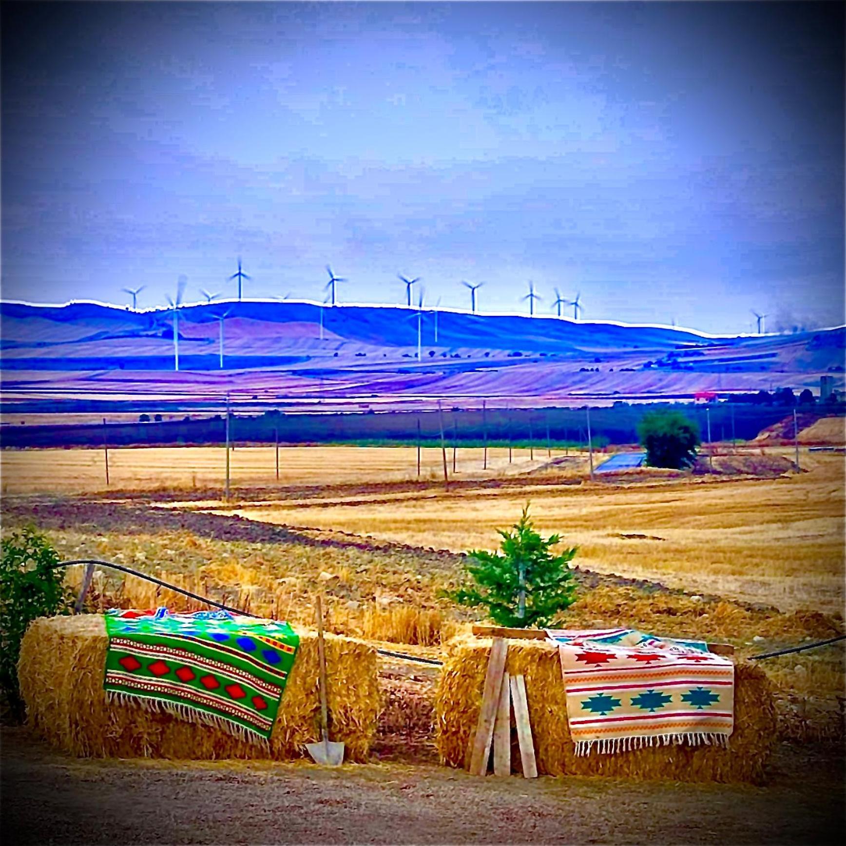 Candela Antica Masseria Il Casone מראה חיצוני תמונה