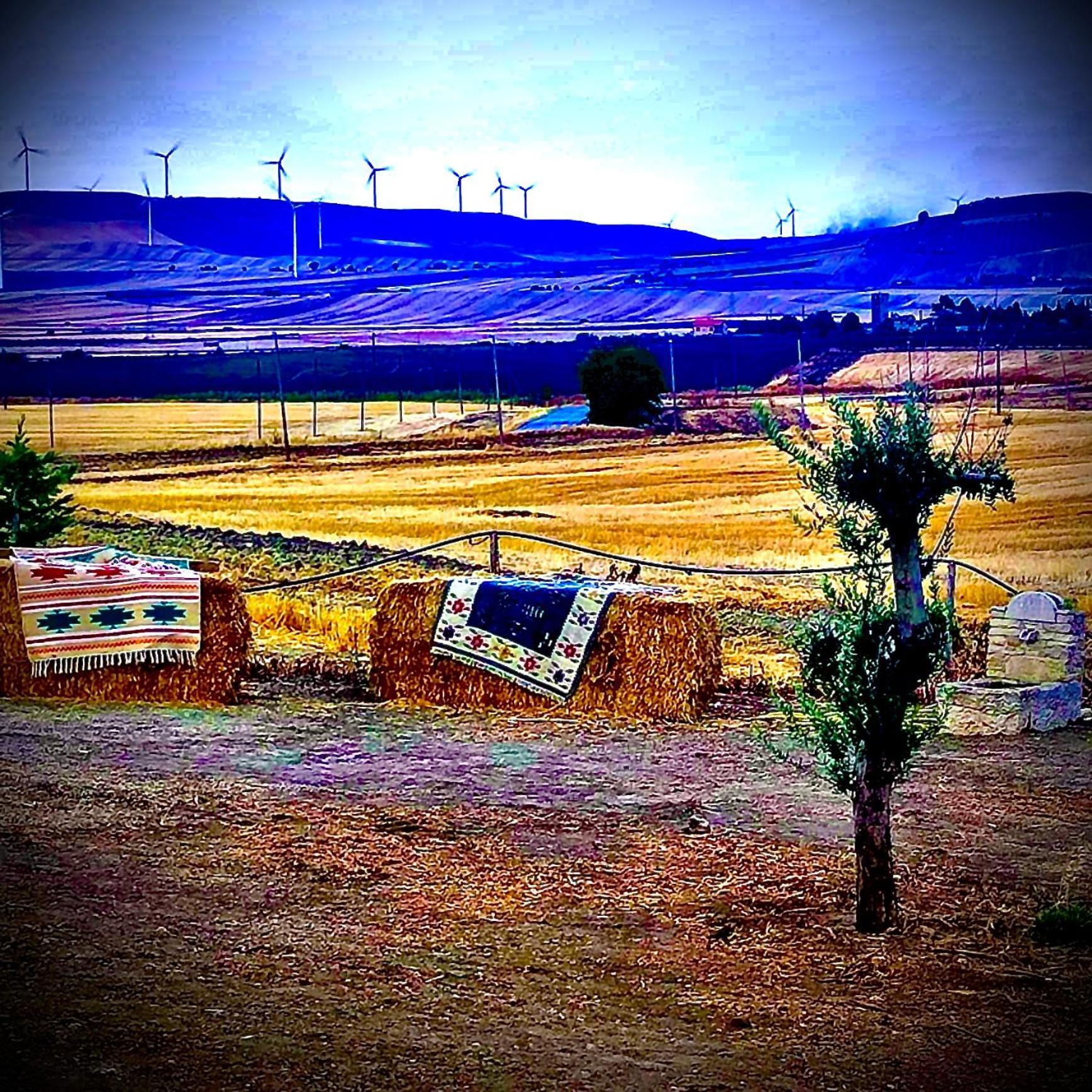 Candela Antica Masseria Il Casone מראה חיצוני תמונה